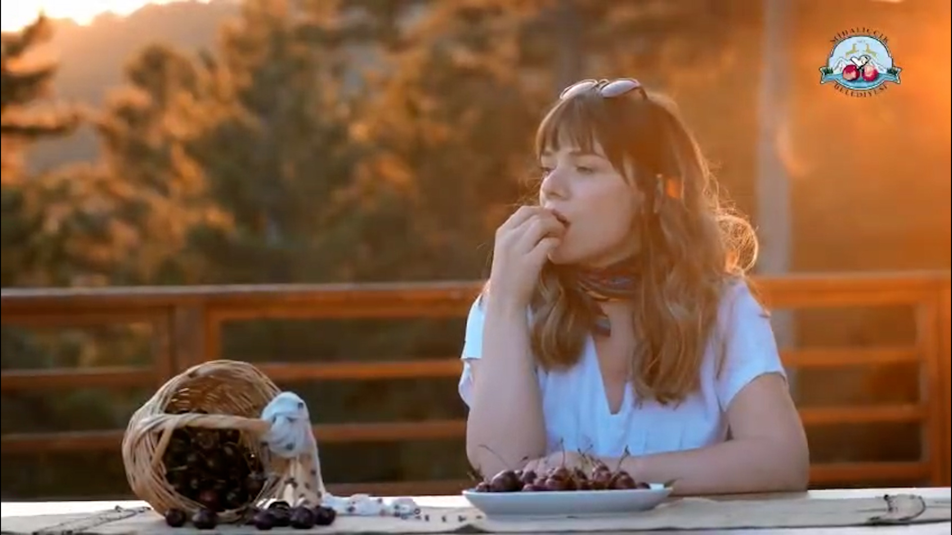 Mihalıççık Belediyesi Belgesel Tanıtım4ı